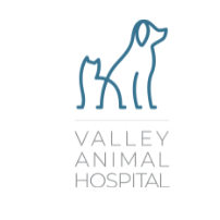 Valley Animal Hospital